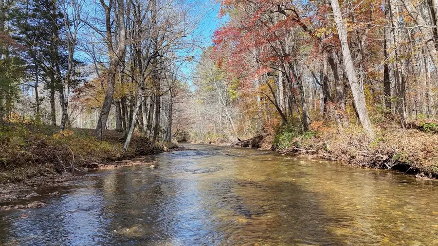 Lot 3 Big Pine Drive, Hiawassee, GA 30546 - #2