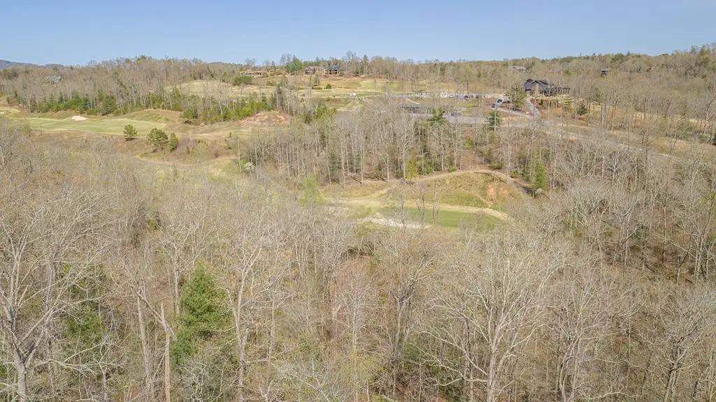 152 Hickory Way, Mineral Bluff, GA 30559 - #1