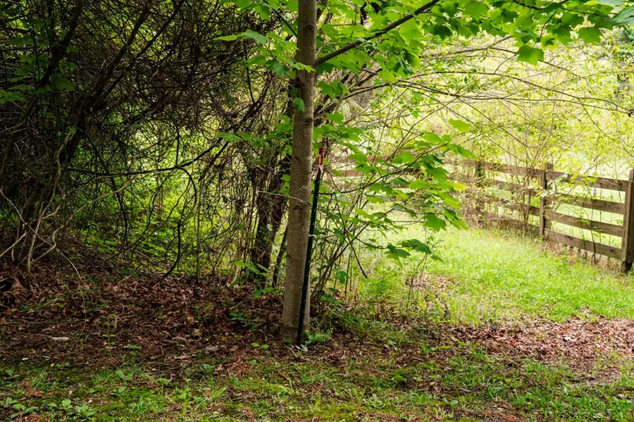 Lot 29 Hidden Forest Lane, Hayesville, NC 28904 - #3