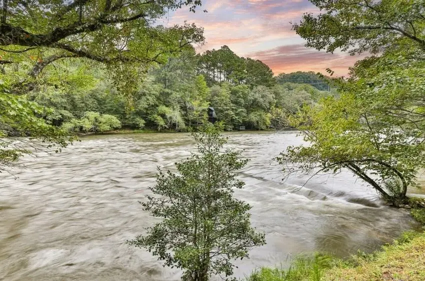 92 Fish Trap Road, Mineral Bluff, GA 30559 - #1
