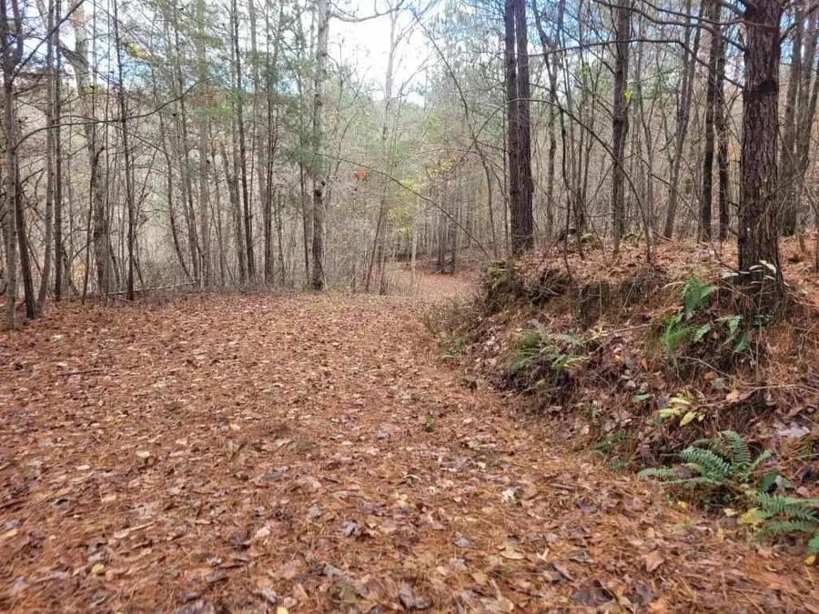 18.22 Talona Road, Ellijay, GA 30540 - #3