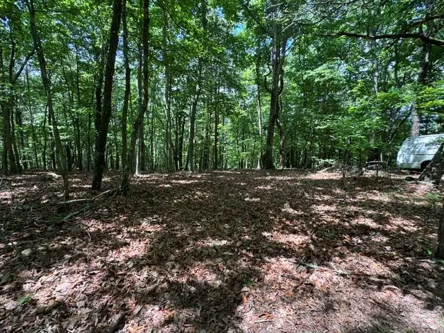 154 Chill Lane, Blairsville, GA 30512 - #1