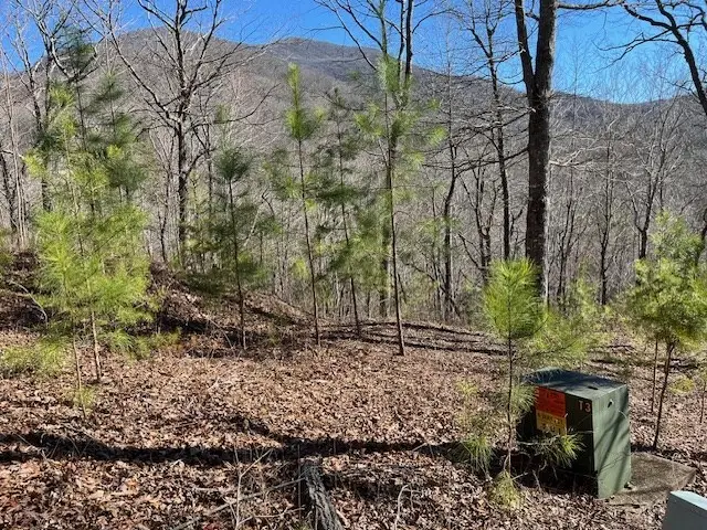 Lot 10 Mountain Valley View, Hiawassee, GA 30546 - #2