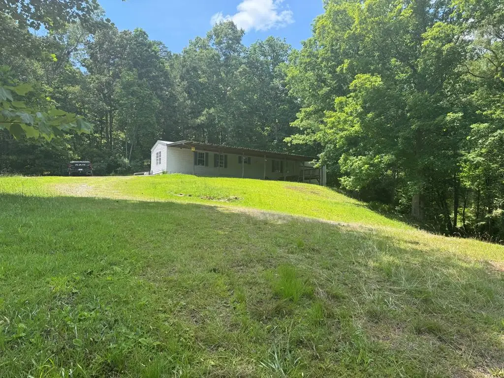 1131 Ada Street, Blue Ridge, GA 30313 - #1