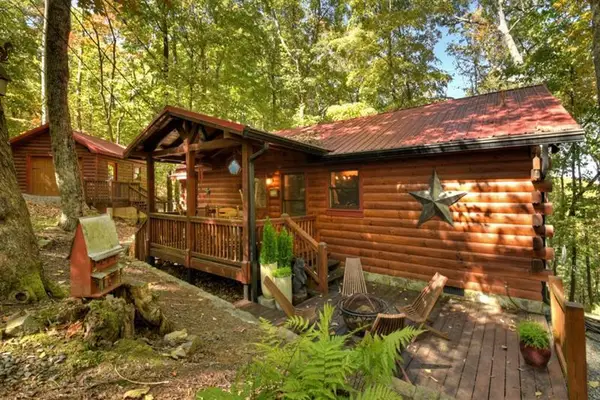 9 Joanna Court, Cherry Log, GA 30522