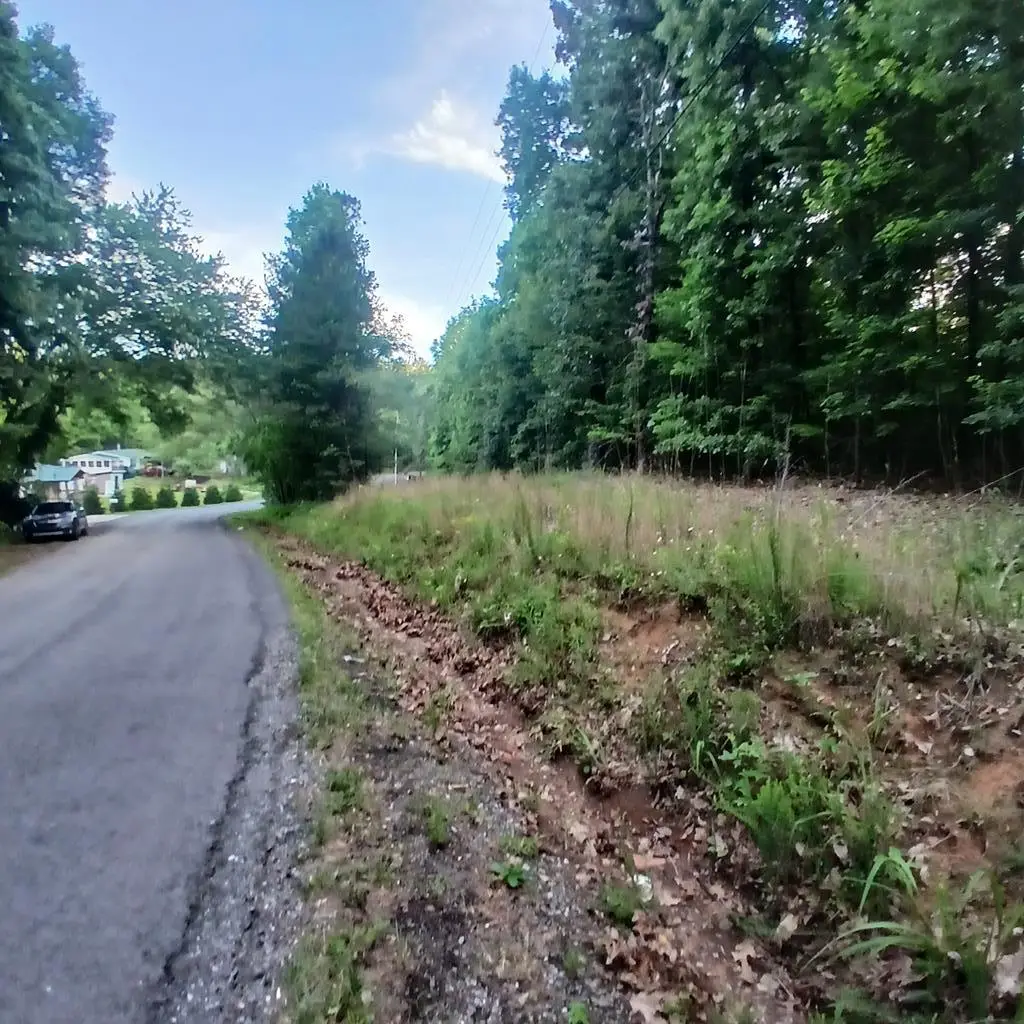 Tr'3 Raven Cliff Road, Talking Rock, GA 30175 - #1