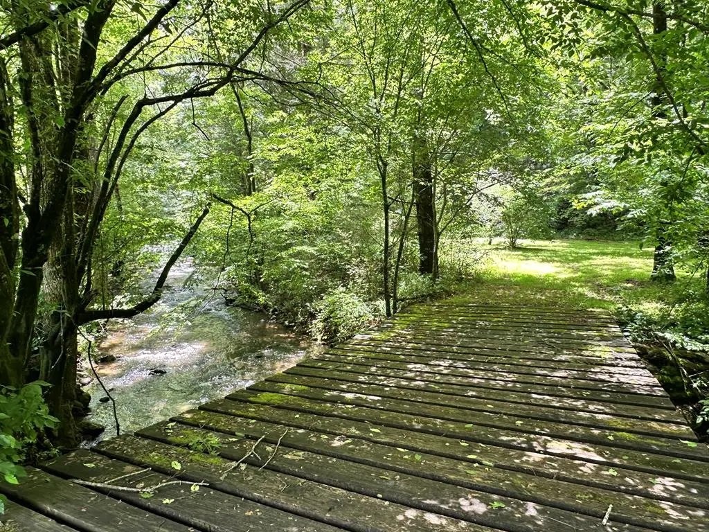 2172 Eagle Fork, Hayesville, NC 28904 - #1