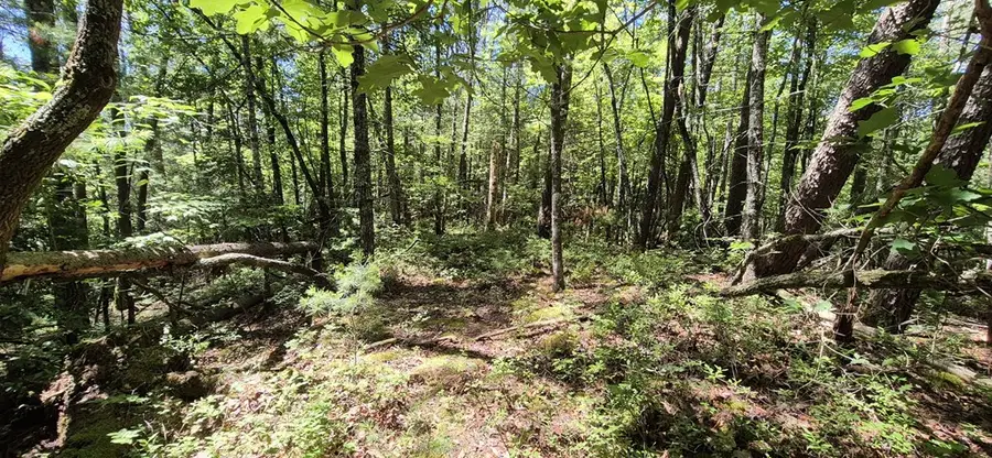 Lot 28 Laurel Ridge, Rich Mountain, GA 30522 - #3