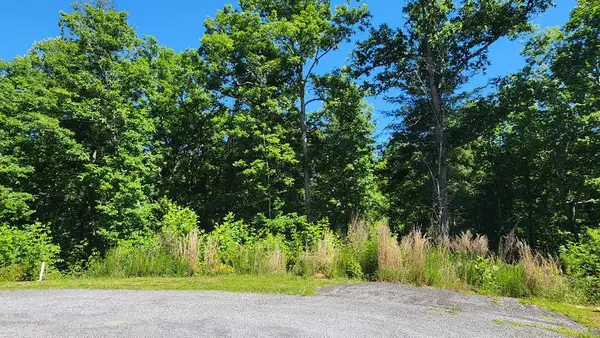 lot 112 Jakes Landing Overlook, Ellijay, GA 30540