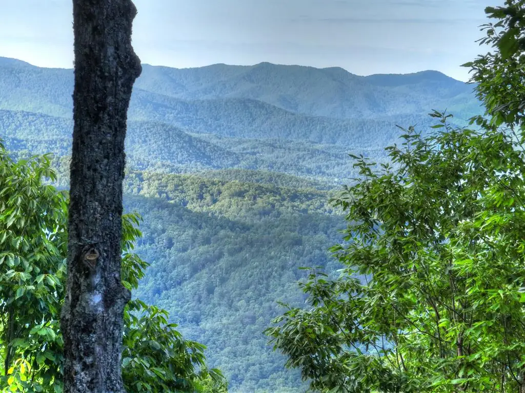 65 Utana Bluff Trails, Ellijay, GA 30540 - #1