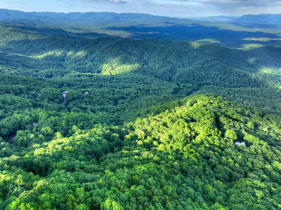 65 Utana Bluff Trails, Ellijay, GA 30540 - #3