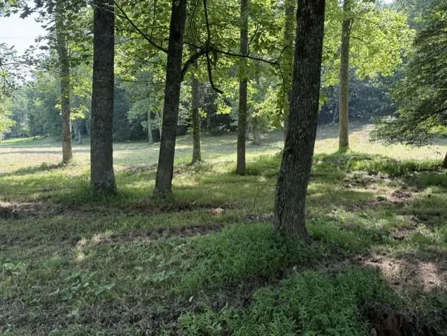 0 Lot 6 Clear Creek Preserve Way, Ellijay, GA 30536 - #1
