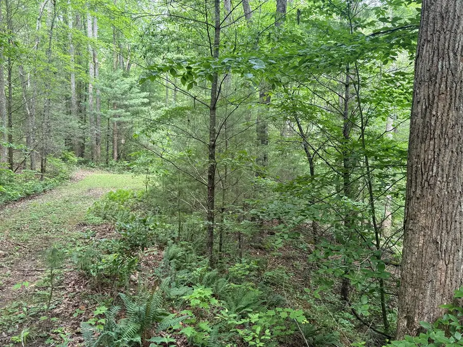 1 ac Spiva Cove Circle, Blairsville, GA 30512 - #2