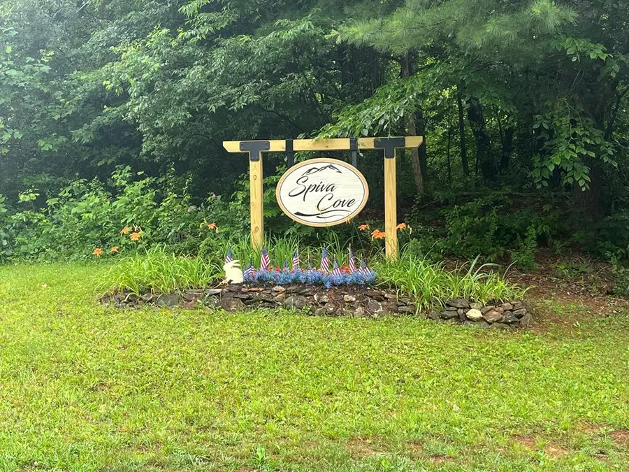 1 ac Spiva Cove Circle, Blairsville, GA 30512 - #3