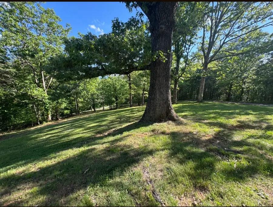 281 Pantertown Circle, Mineral Bluff, GA 30559 - #3