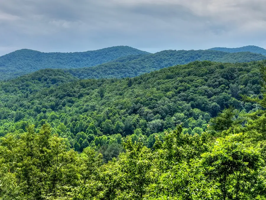 277 Hickory Nut Trail, Blue Ridge, GA 30513 - #3