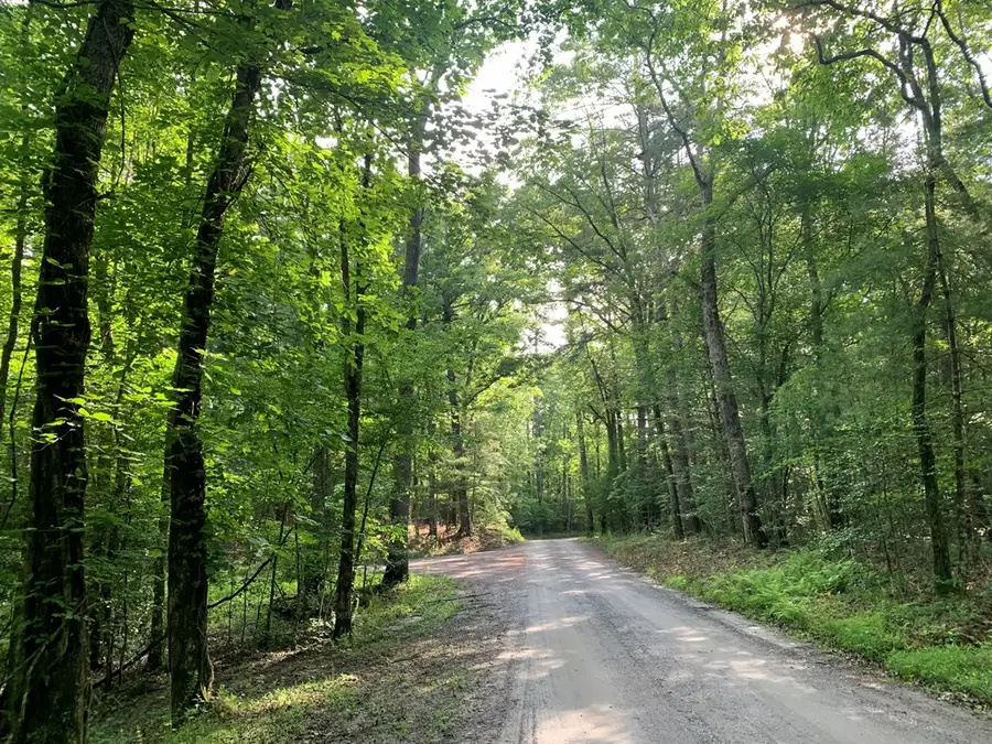 Lot 57 Rainy Farm Road, Murphy, NC 28906 - #2