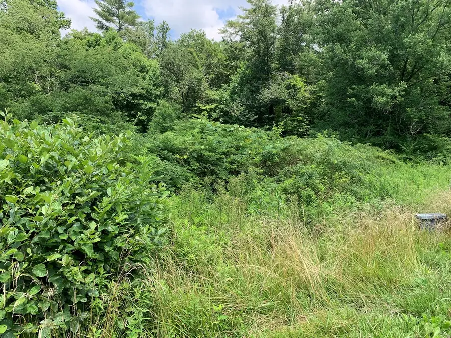 Lot 57 Rainy Farm Road, Murphy, NC 28906 - #3