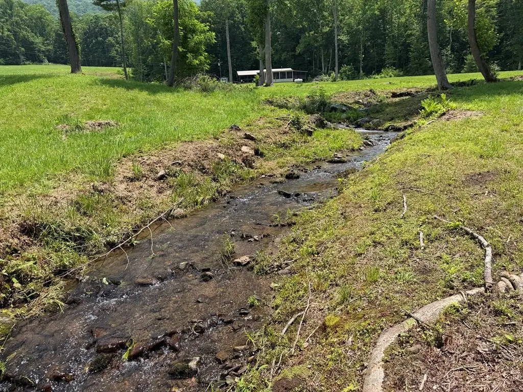 1446 Muskrat Creek Road, Hayesville, NC 28904 - #1