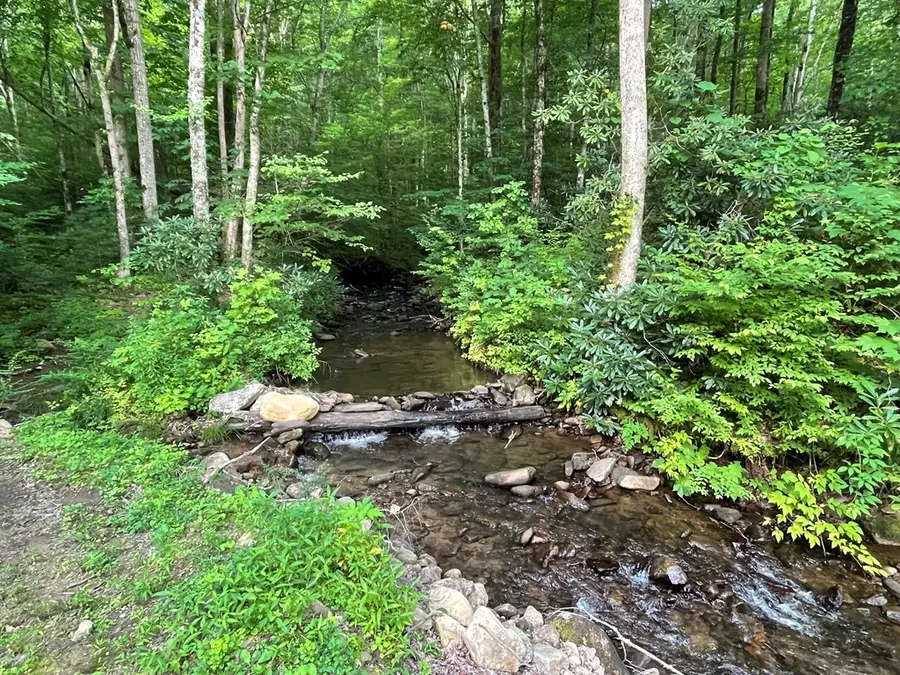 1446 Muskrat Creek Road, Hayesville, NC 28904 - #3