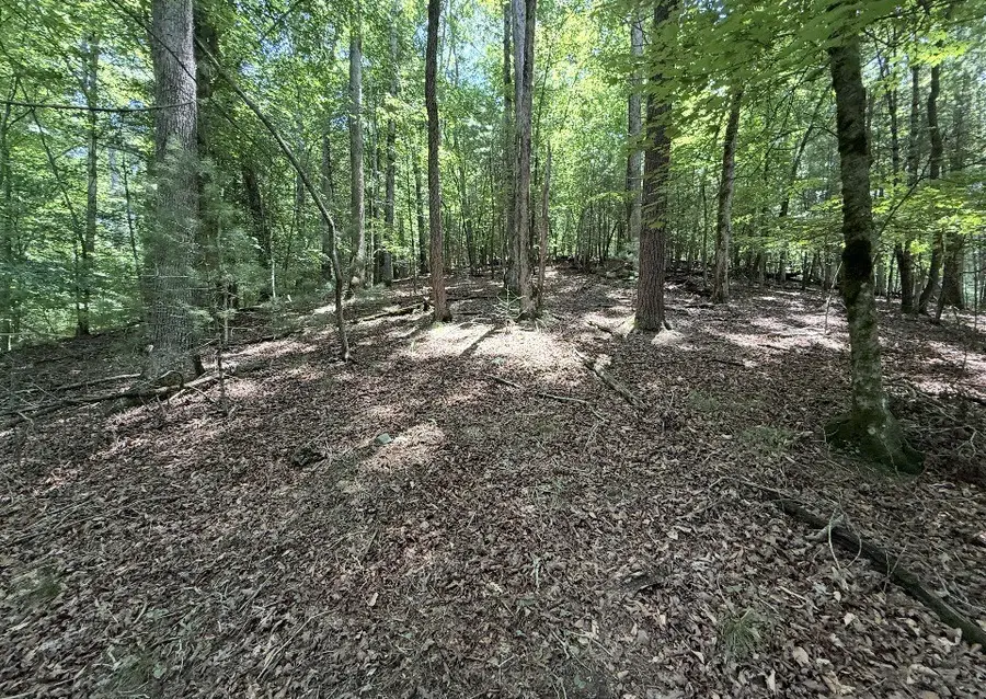 Lot 3469 Fir Lane, Ellijay, GA 30540 - #3