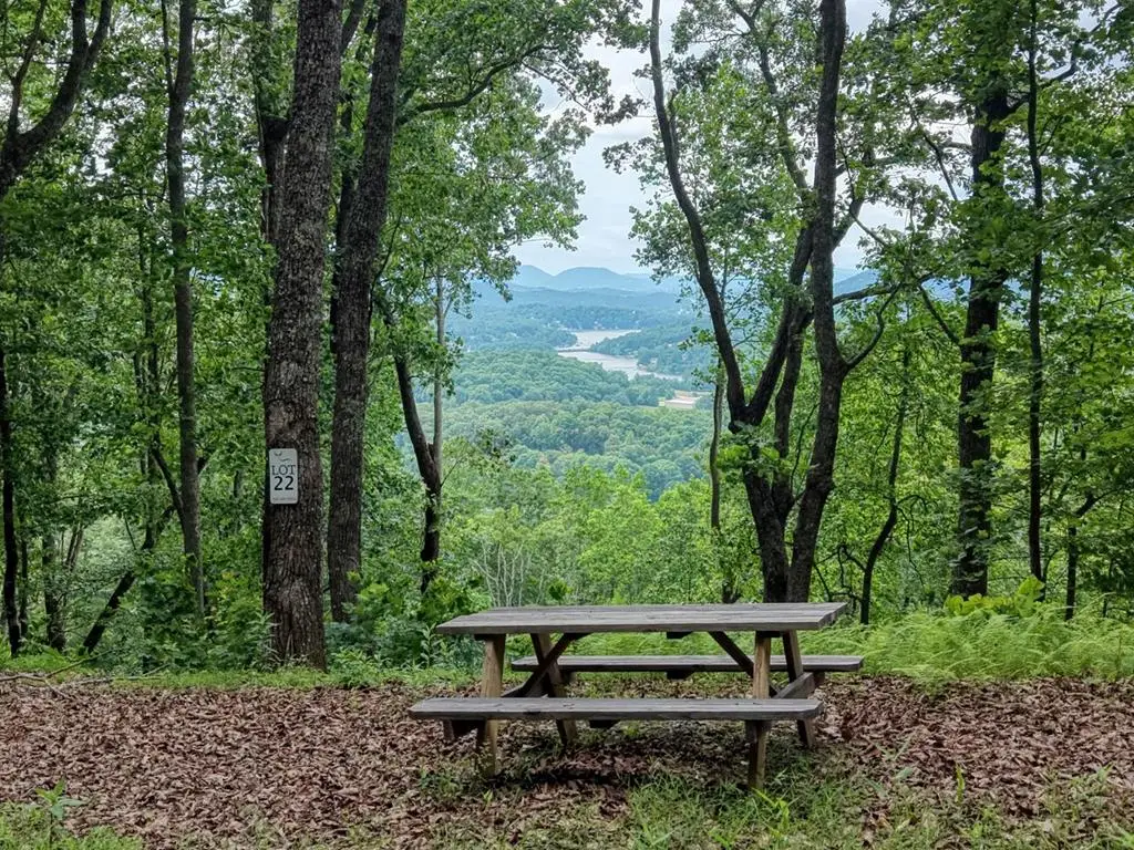 22 Buckhead Hills, Hiawassee, GA 30546 - #1