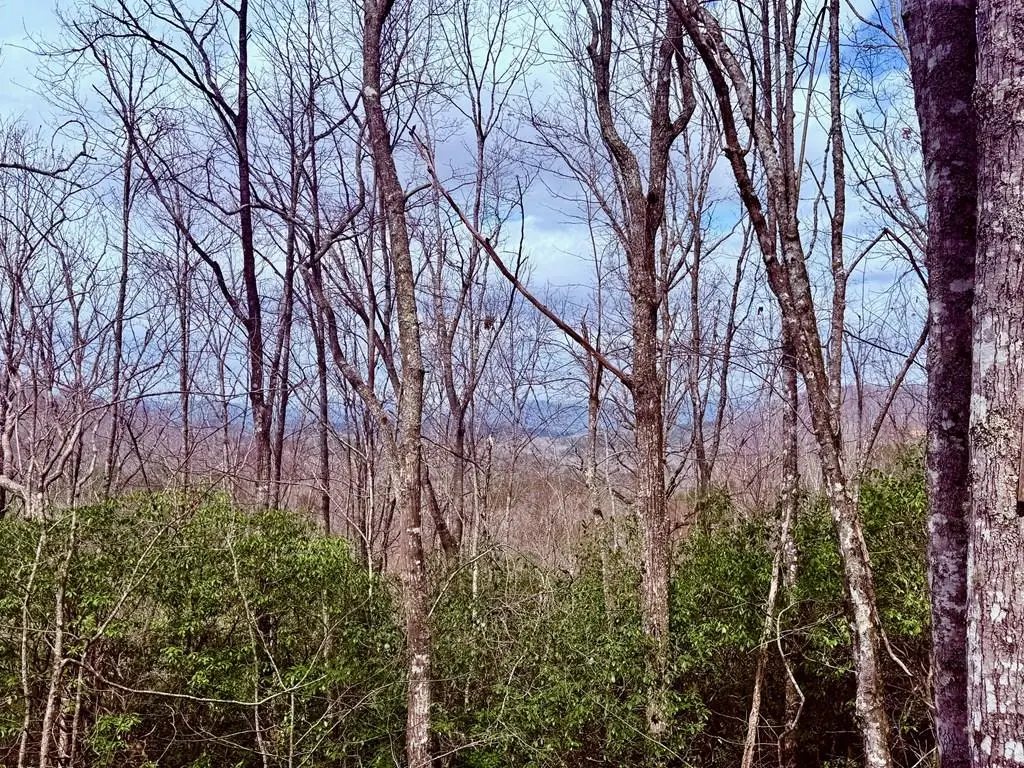 3.06 Ac Ridgeline Drive, Sweetwater, NC 29802 - #1