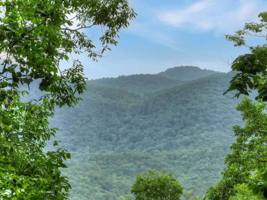 415 Walnut Mountain Road, Ellijay, GA 30536 - #2