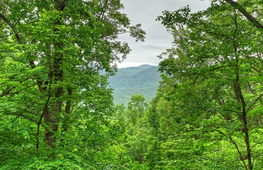 415 Walnut Mountain Road, Ellijay, GA 30536 - #3