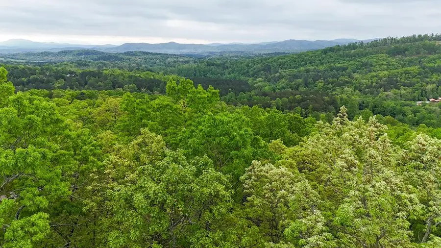 Lot 52 Ivy Bend, Murphy, NC 28906 - #3