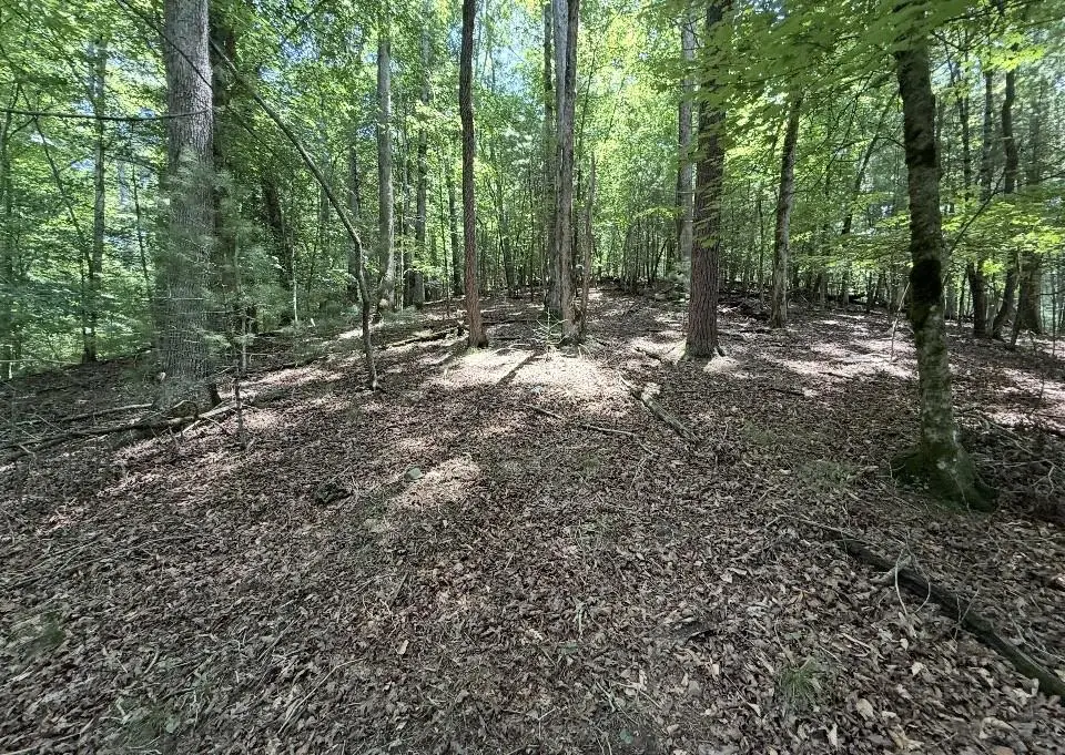 Lot 2607 Magnet Court, Ellijay, GA 30540 - #1