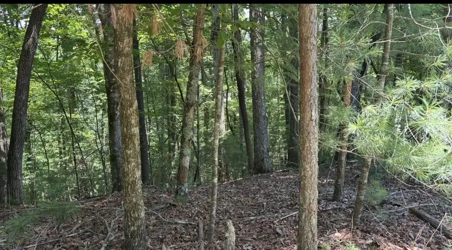 Lot 2607 Magnet Court, Ellijay, GA 30540 - #3