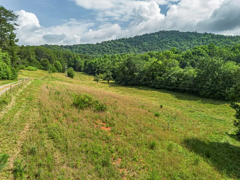 541 Pleasant Hill Road, Copperhill, TN 37317 - #1