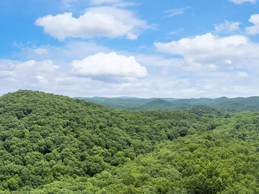 57.64 ac Mountain Ash Road, Ellijay, GA 30536 - #2