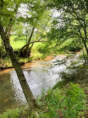 Tr 2 & 3 Settlement Road, Young Harris, GA 30582 - #2