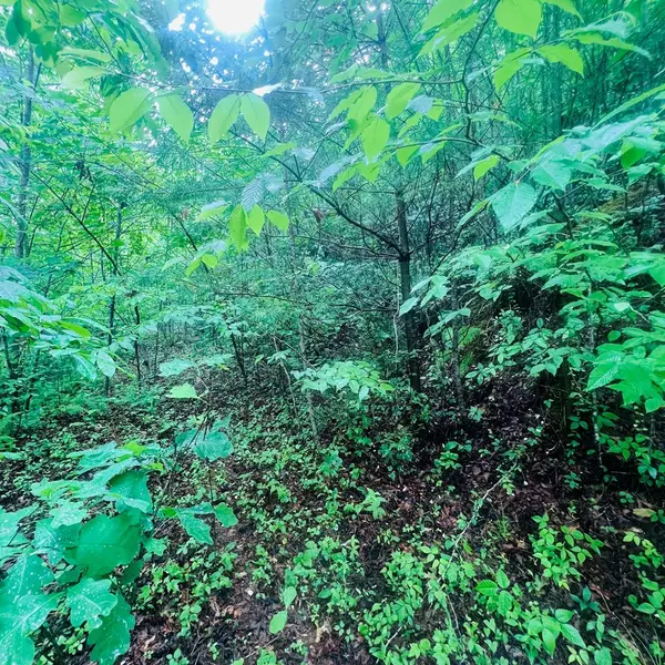 00 Owl Creek Ridge, Murphy, NC 28906