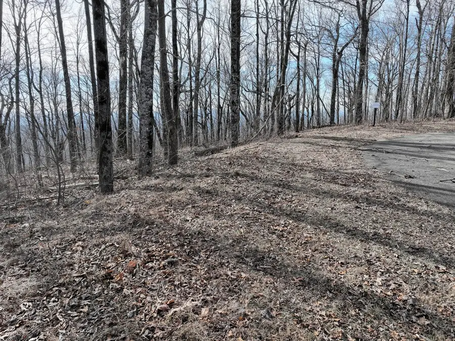256 Blood Root Trail, Ellijay, GA 30536 - #2