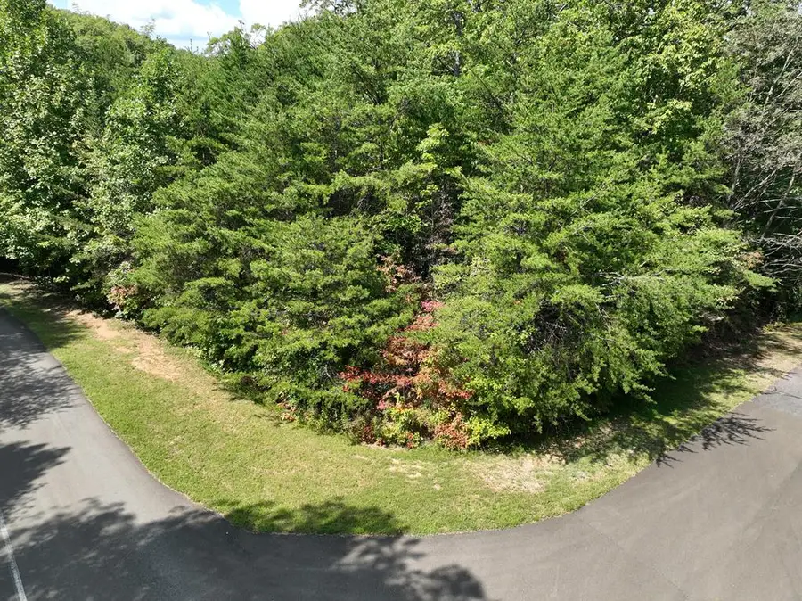 123 Edinborough Court, Ellijay, GA 30536 - #2