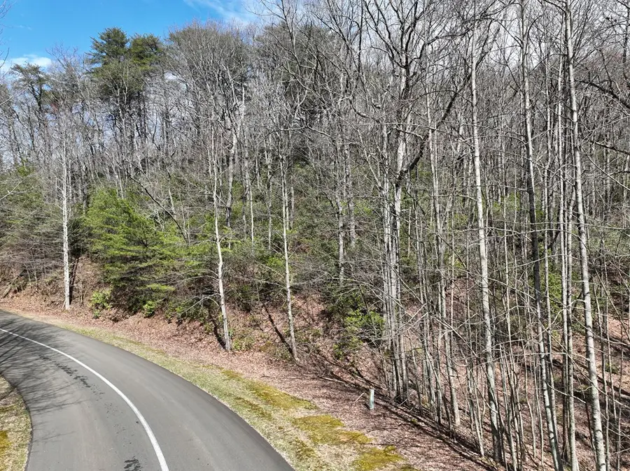 63 St Andrews Way, Ellijay, GA 30536 - #2