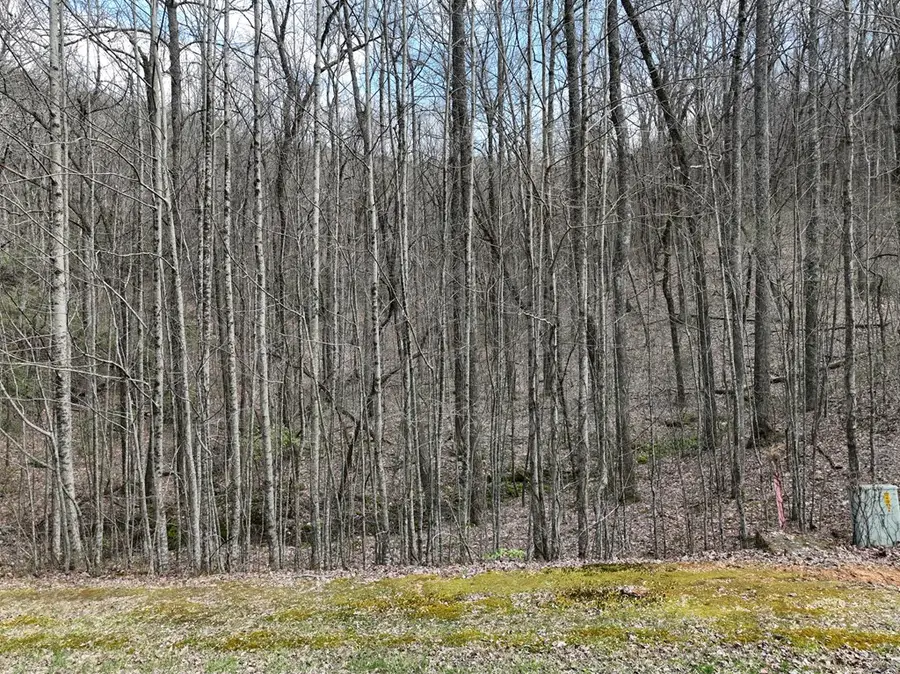 64 St Andrews Way, Ellijay, GA 30536 - #2