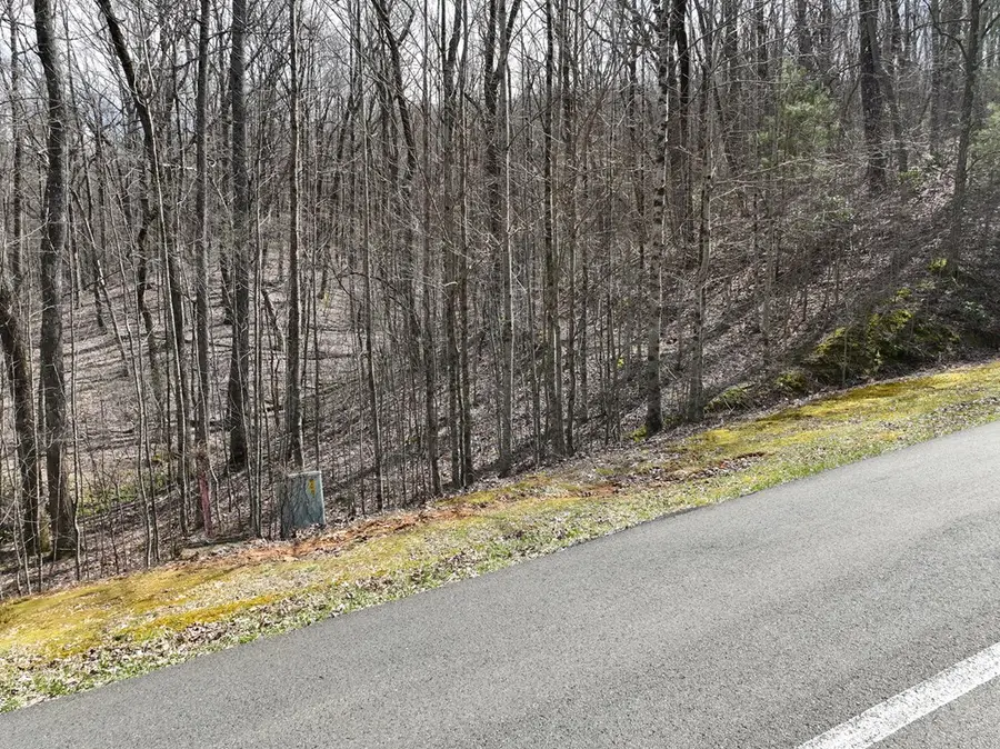 65 St Andrews Way, Ellijay, GA 30536 - #2