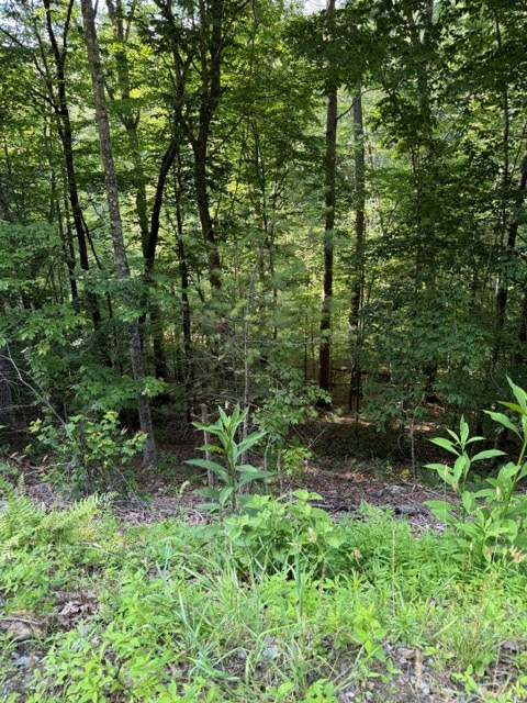Lot 37 Quiet Waters, Murphy, NC 28906 - #3