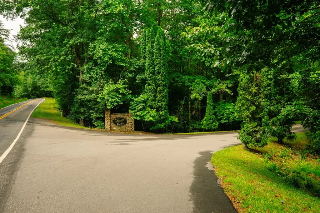 Lot 11 Quail Cove Circle, Warne, NC 28909 - #1