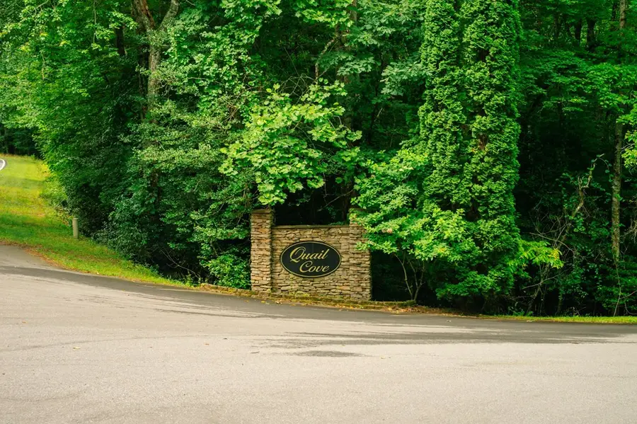 Lot 11 Quail Cove Circle, Warne, NC 28909 - #2