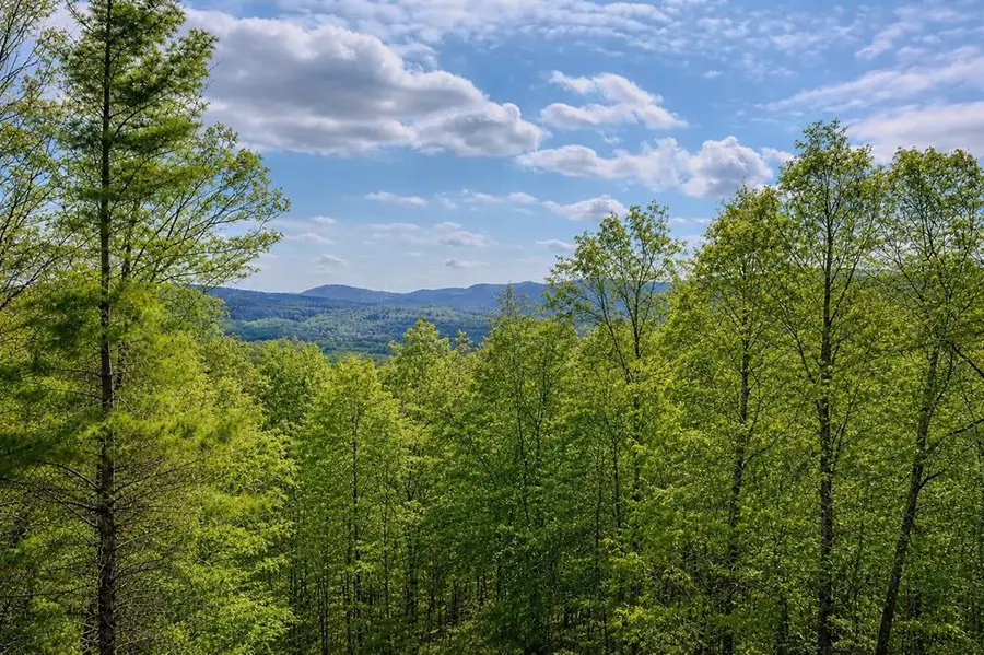 156 Sky High Drive, Ellijay, GA 30536 - #3