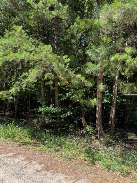 0 Southern Pines Drive, Ellijay, GA 30540 - #1