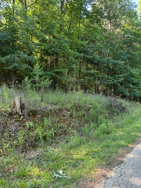 0 Southern Pines Drive, Ellijay, GA 30540 - #2