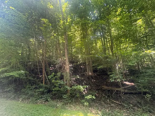 2.33 acr Flat Rock Valley Road, Blairsville, GA 30512