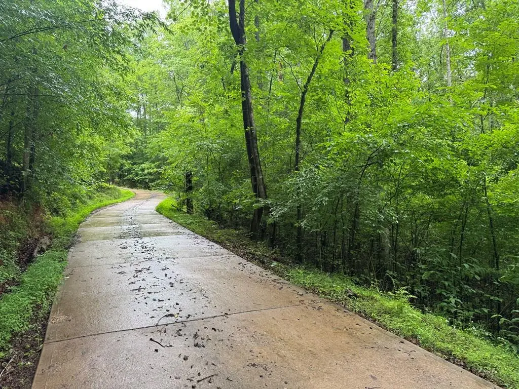 1.23 AC Bear Run Circle, Ellijay, GA 30540 - #1