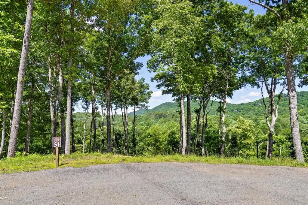 Lot 54 Hickory Lane, Mineral Bluff, GA 30559 - #1